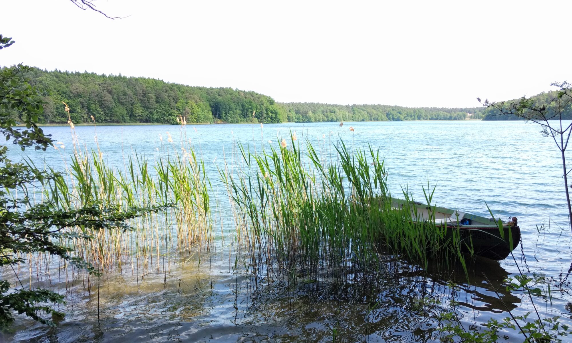 Rückzugstage sind kein Wellness-Urlaub. Es ist eine strategische Auszeit. Wir nutzen die Ruhe der Uckermark, um Ihr menschliches Betriebssystem zu kalibrieren.